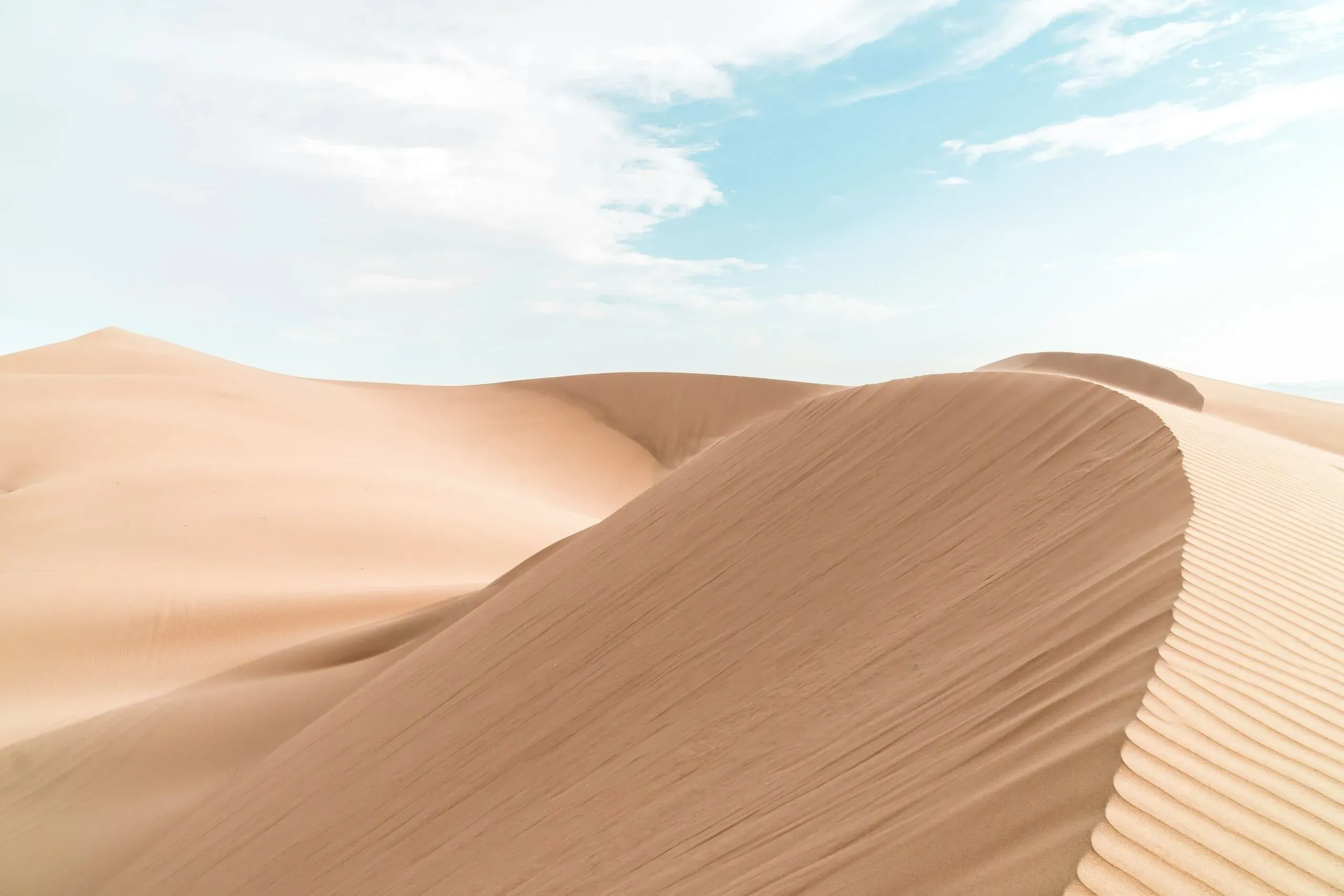 Dunes de sable ondulées sous un ciel dégagé dans un paysage désertique.